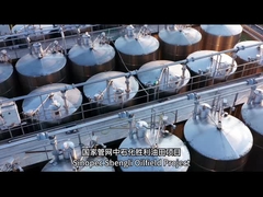 Was sind einige Beispiele für erfolgreiche Containerprojekte?